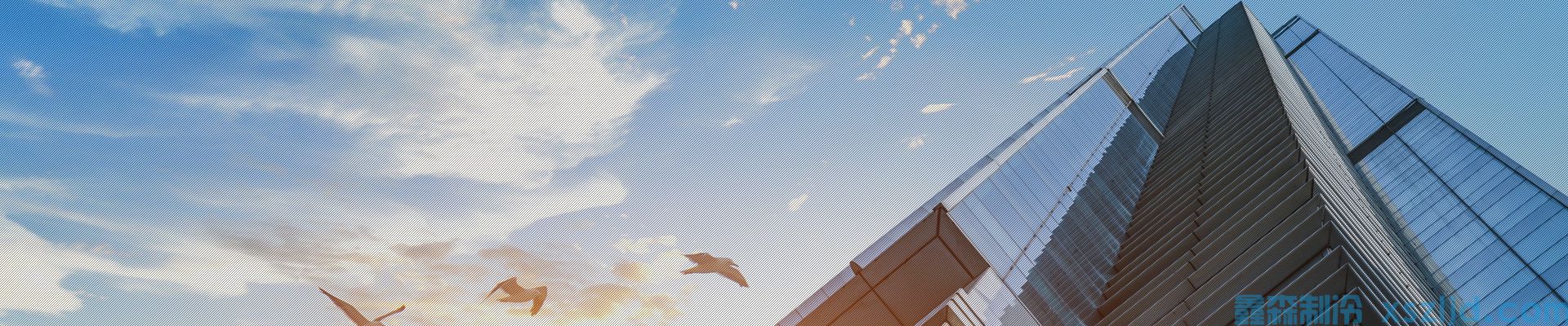 企業(yè)視頻